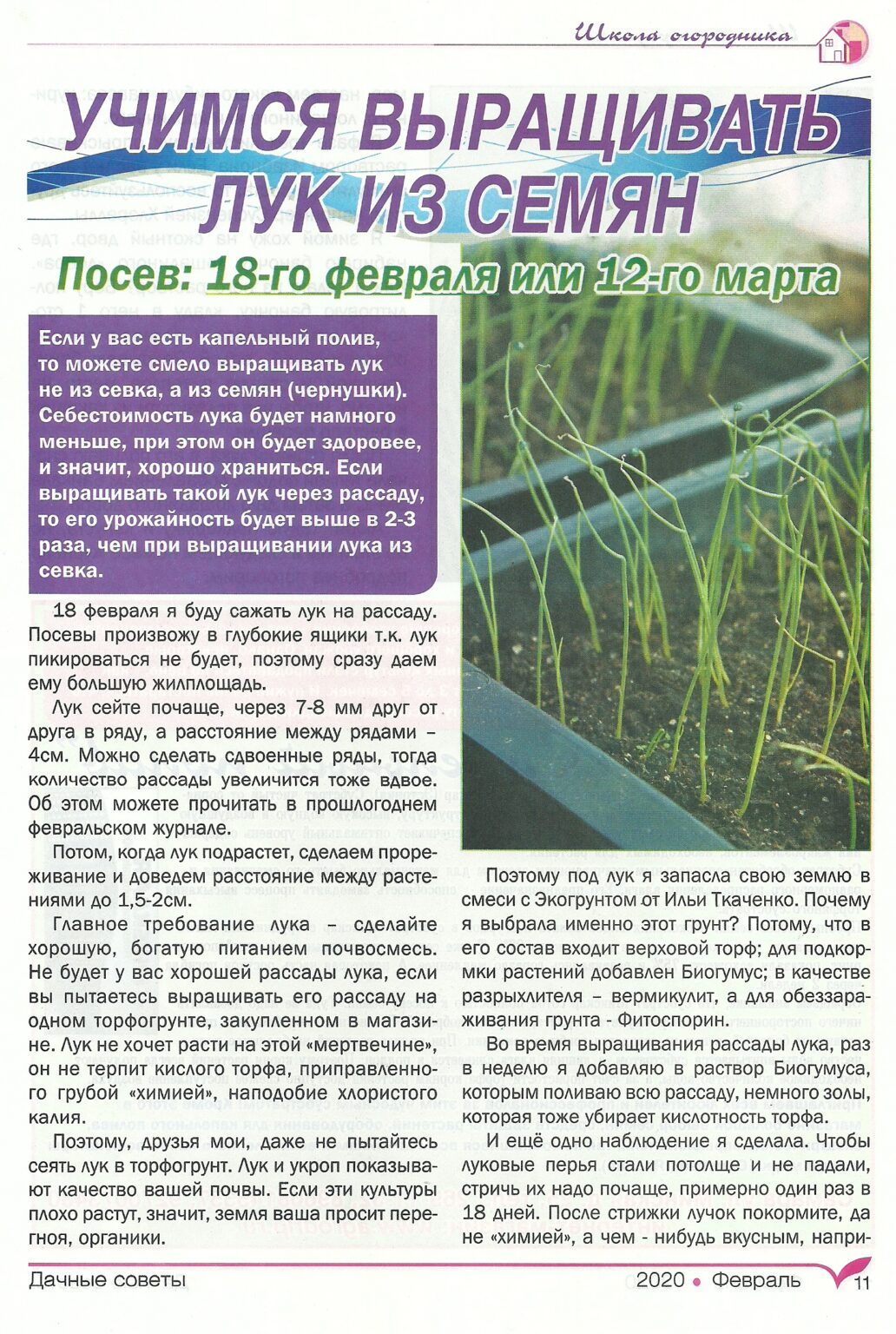 ДАЧНЫЕ СОВЕТЫ С ГАЛИНОЙ СТАРОСЕЛЬЦЕВОЙ Февраль 2020